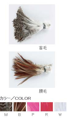 鳥毛